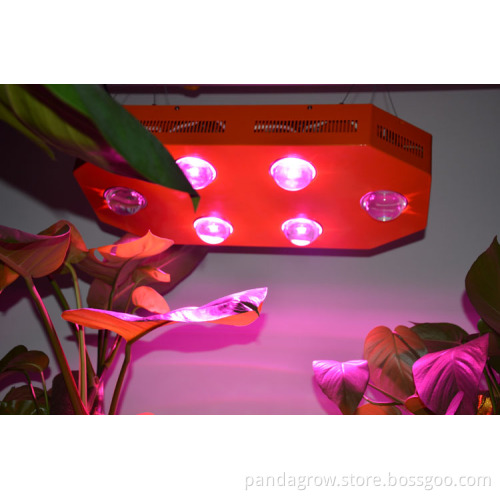 250W High Intensity and Full Spectrum LED Grow Light for Indoor Growing